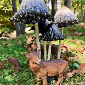 Meet your Posher, Katherine